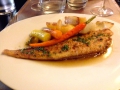IMG_1359 IMG_1359