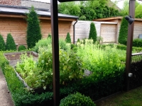 IMG_5750 IMG_5750