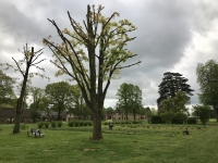 Les Jardins d'Alain Passard - Le potager Les Jardins d'Alain Passard - Le potager