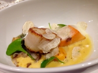 Restaurant gastronomique Alain Bianchin à Overijse Saint-Jacques Truffe Blanche Restaurant gastronomique Alain Bianchin à Overijse Saint-Jacques Truffe Blanche