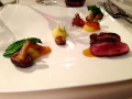 IMG_0555 IMG_0555