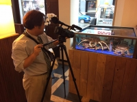 Brasserie La Paix à Anderlecht - Télévision japonaise Brasserie La Paix à Anderlecht - Télévision japonaise