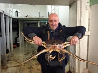 Brasserie La Paix à Anderlecht - David Martin pêche le King Crabe