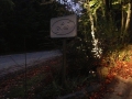 IMG_0749 IMG_0749