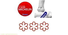 Guide Michelin 2017 - Logo