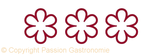 Guide-Michelin-Trois-Etoiles