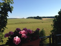 Hostellerie Gilain : magnifique terrasse