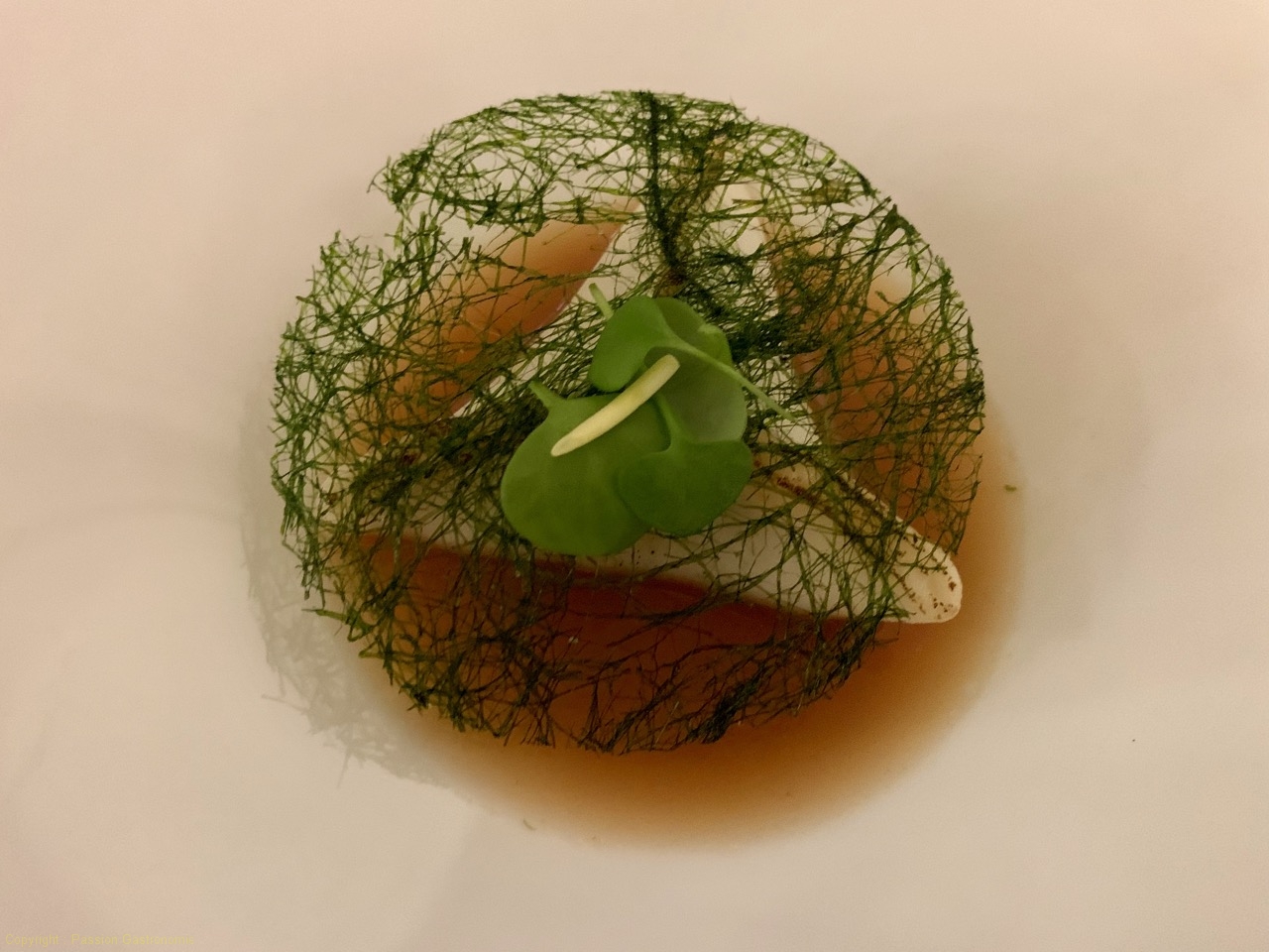Sour Figs, scallop - Sang-Hoon Degeimbre (L'Air du temps, **, Liernu)