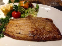 IMG_8038 IMG_8038