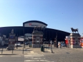 IMG_7372 IMG_7372