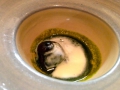 IMG_1409 IMG_1409