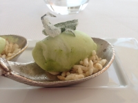 IMG_4883 IMG_4883