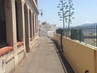IMG_4887 IMG_4887