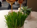 IMG_0210 IMG_0210