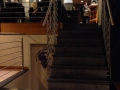 IMG_8578 IMG_8578