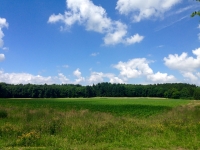 IMG_4424 IMG_4424