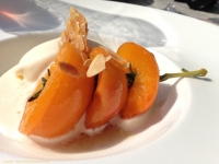 IMG_4487 IMG_4487