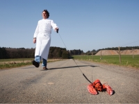 Extrait du site web du restaurant Les Pieds dans le Plat