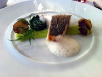 IMG_3067 IMG_3067