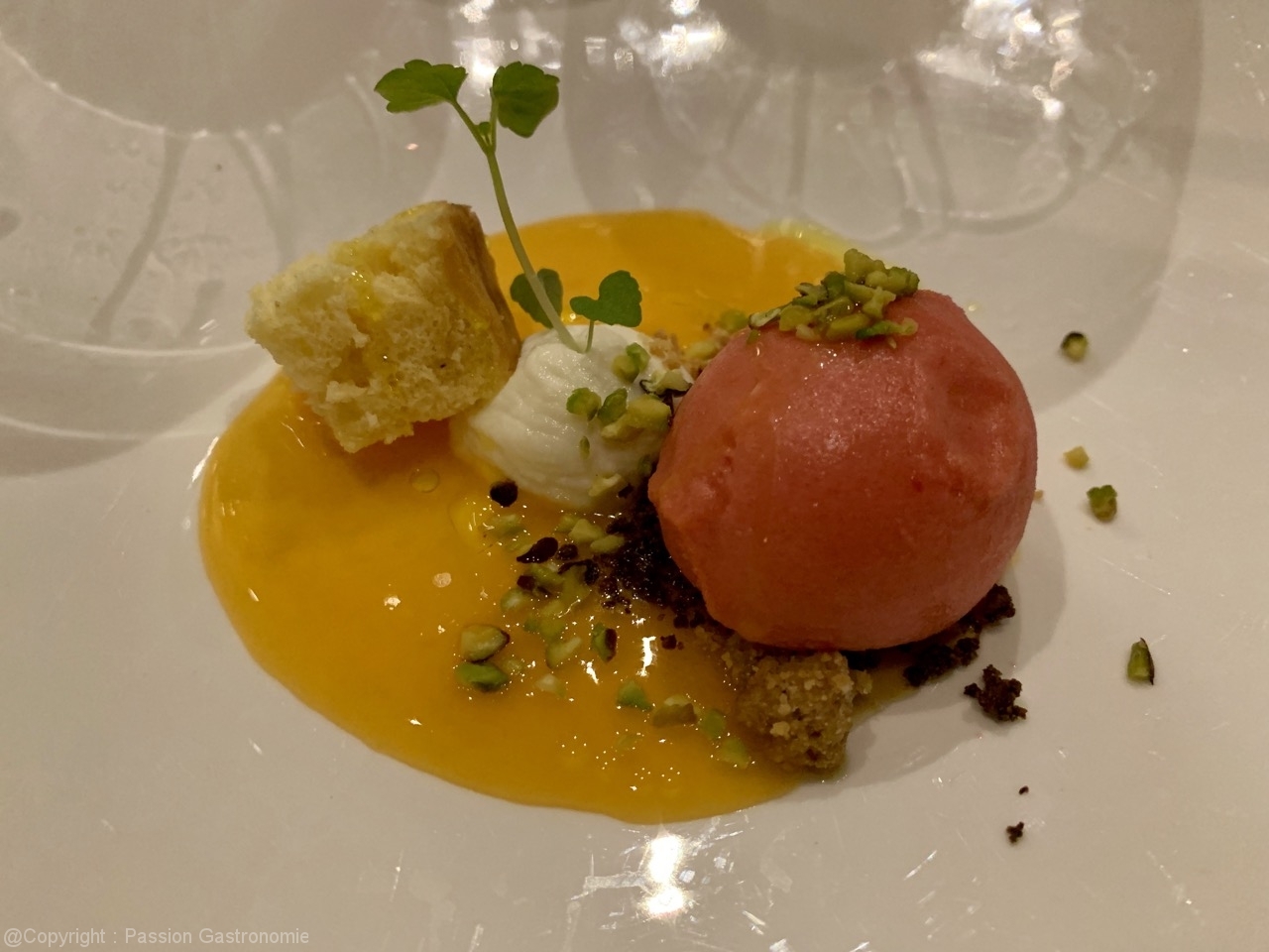 Restaurant Lucana -Ricotta, génoise à l'huile d'olives, coulis de carotte-orange, sorbet à l'orange sanguine,