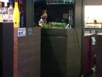 IMG_4310 IMG_4310