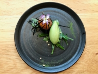Restaurant Alain Bianchin - Mise en bouche Restaurant Alain Bianchin - Mise en bouche