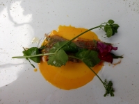 Restaurant l'Atelier de Jean-Luc Rabanel - Maigre mariné Restaurant l'Atelier de Jean-Luc Rabanel - Maigre mariné