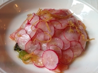 Restaurant Classico La Brasserie - Ceviche de saumon Restaurant Classico La Brasserie - Ceviche de saumon