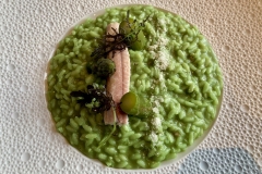 Restaurant Da Mimmo - Risotto