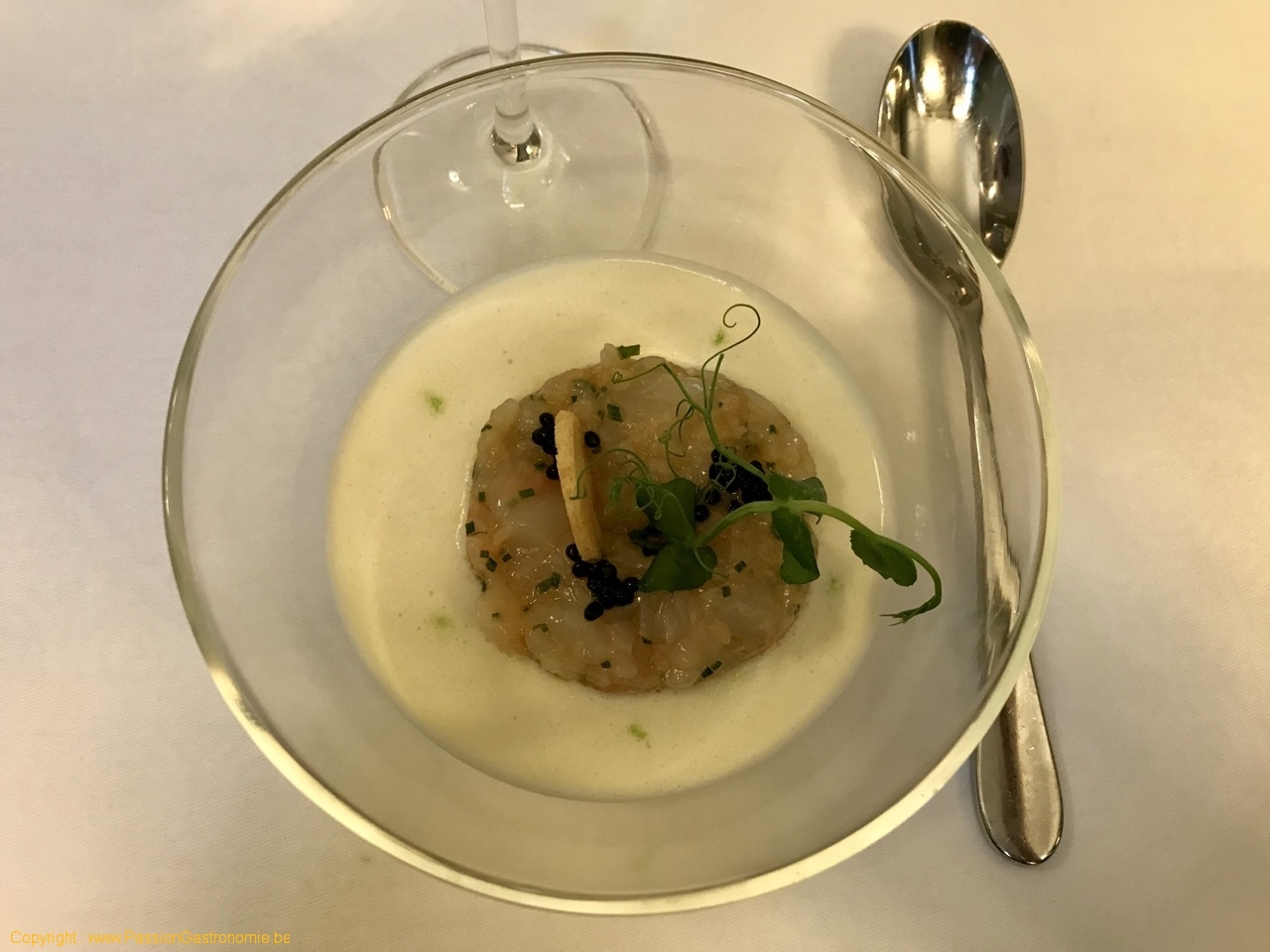 Restaurant L'Ecailler du Palais Royal - Tartare de langoustines, crémeux fenouil