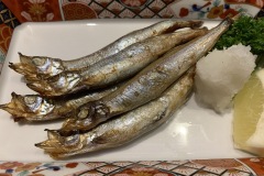 Restaurant Nonbe Daigaku - Shishamo Restaurant Nonbe Daigaku - Shishamo