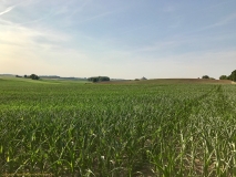 Restaurant La Ligne Rouge à Plancenoit - La butte du lion de Waterloo