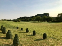 Restaurant La Ligne Rouge à Plancenoit - Le jardin