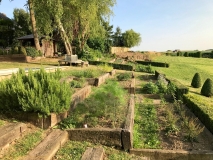 Restaurant La Ligne Rouge à Plancenoit - Les plantes du chef