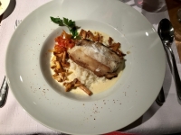 Restaurant La Malterie - Turbot rôti, risotto aux girolles, sauce champagne