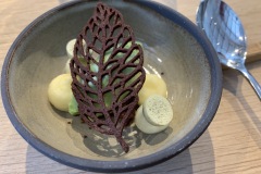 Restaurant Le Gastronome - Chocolat blanc, citron, sorbet sapin et oseille Restaurant Le Gastronome - Chocolat blanc, citron, sorbet sapin et oseille