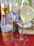 Restaurant Le Comptoir de l'Eau Vive - Le gin d'apéritif