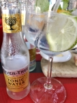 Restaurant Le Comptoir de l'Eau Vive - Le gin d'apéritif Restaurant Le Comptoir de l'Eau Vive - Le gin d'apéritif
