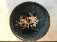 Restaurant Le Cor de Chasse - Mises en bouche Restaurant Le Cor de Chasse - Mises en bouche