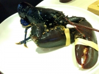 Restaurant Matthias and Sea - Homard bleu breton vivant Restaurant Matthias and Sea - Homard bleu breton vivant