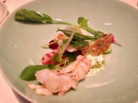 Restaurant Oud Sluis - Langoustine Restaurant Oud Sluis - Langoustine