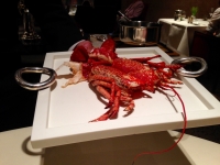 IMG_5942 IMG_5942
