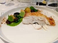 Restaurant Stirwen à Bruxelles - Turbot Restaurant Stirwen à Bruxelles - Turbot