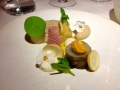 IMG_1156 IMG_1156