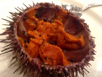 Brasserie Toucan sur Mer : oursin