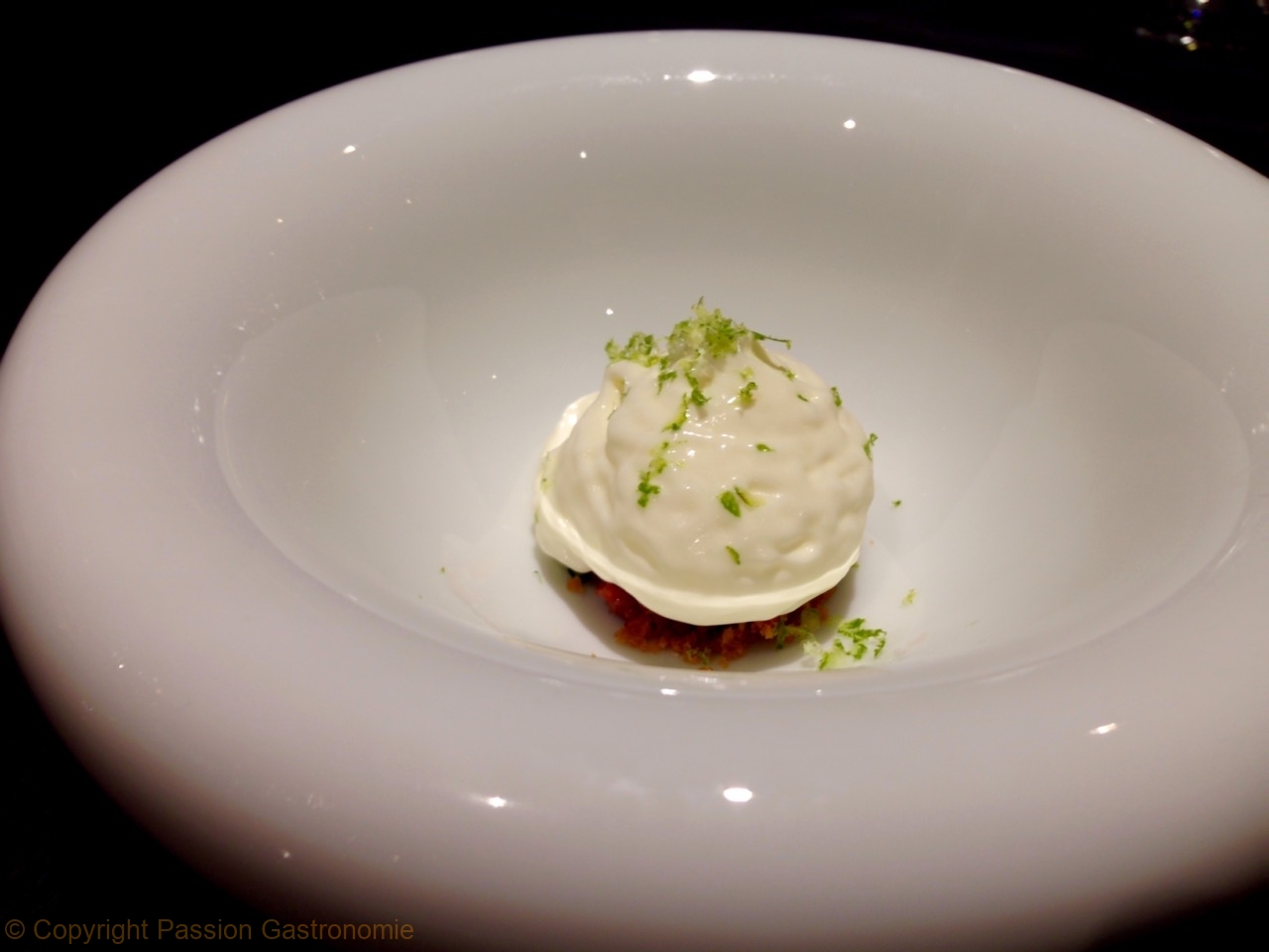 La villa in the sky By Alexandre Dionisio Tartare de boeuf, vodka, citron vert