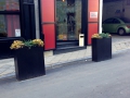 IMG_7894 IMG_7894